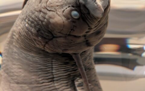 PXL_20250926_144701119