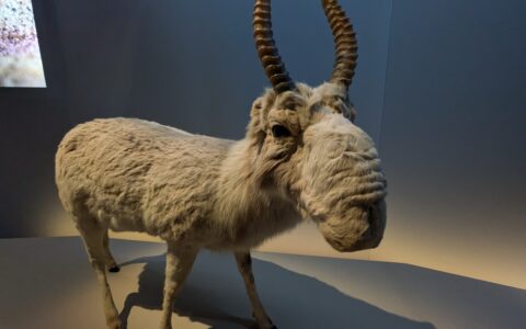 PXL_20250926_145647799.MP