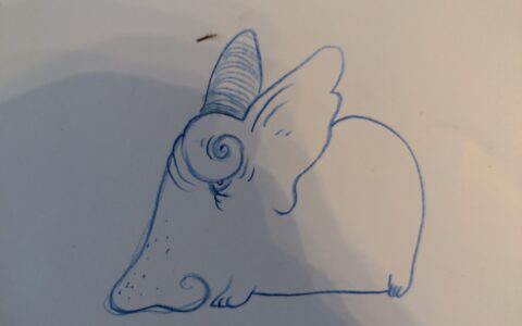 PXL_20251230_092212228.MP